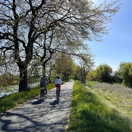 Apartament Chaleureux Au Cap D'agde *